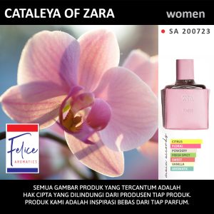 CATALEYA OF ZARA
