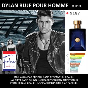 DYLAN BLUE POUR HOMME