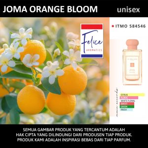 JOMA ORANGE BLOOM