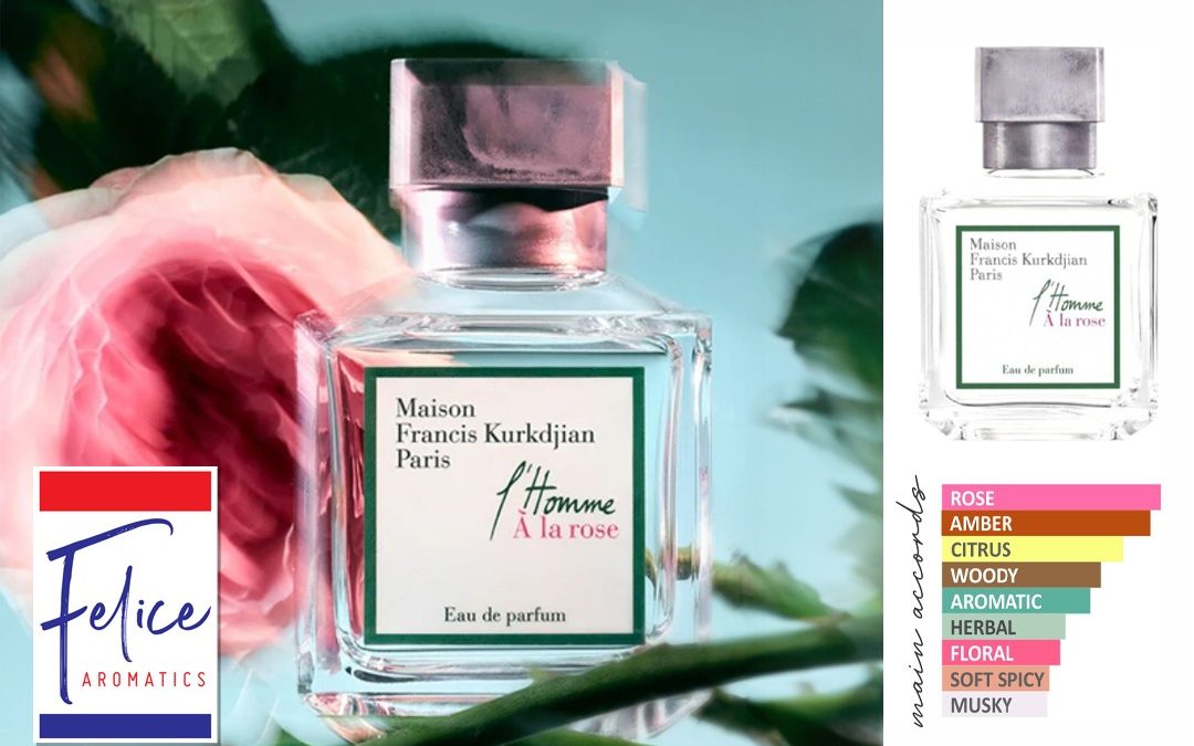 MFK ROSA L’HOMME