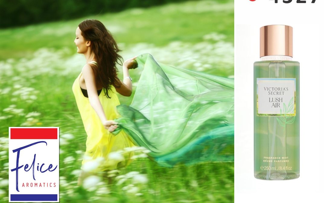 VS LUSHTY AIR F