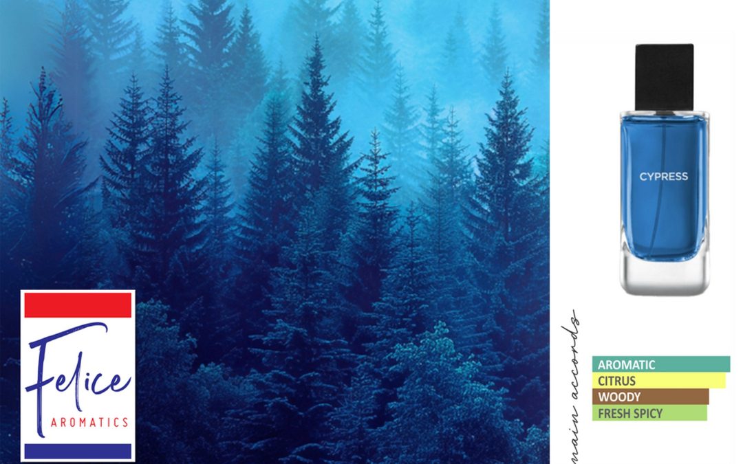 BBW BLUES CYPRESS