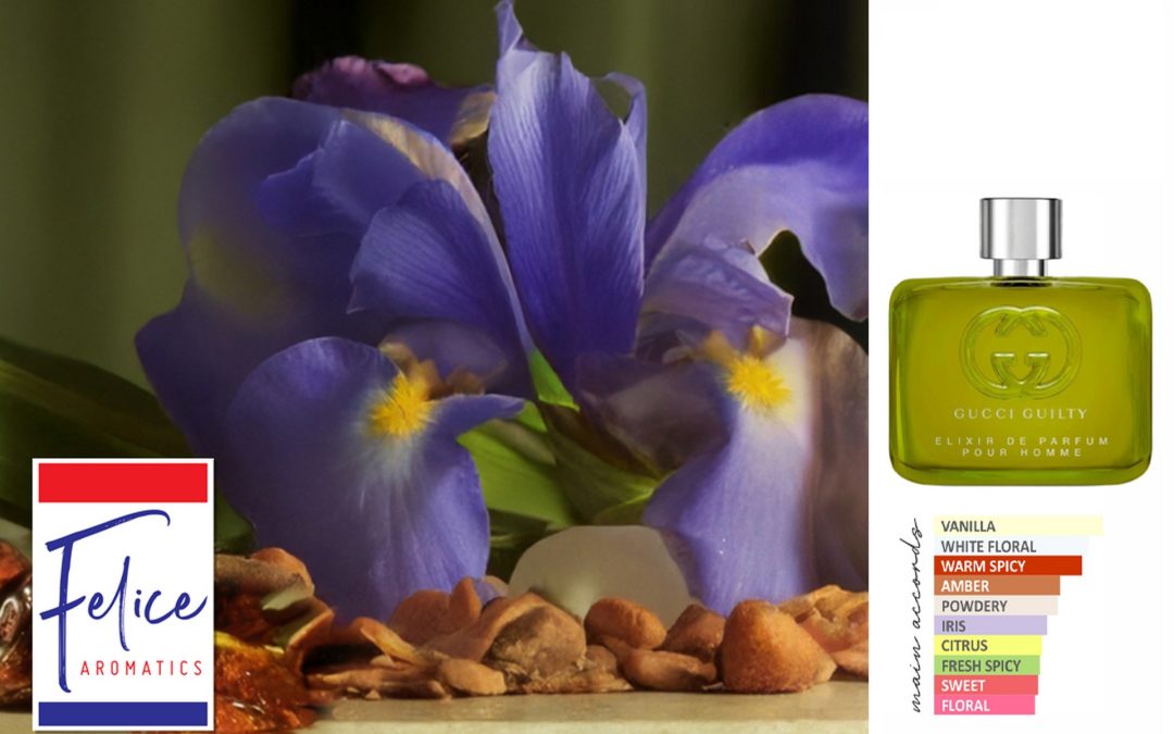 GUILTY ELIXIR POUR HOMME