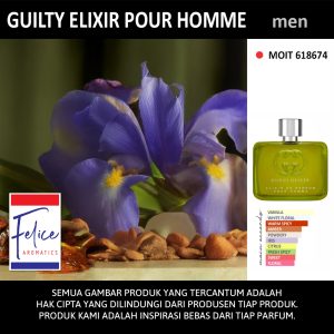 GUILTY ELIXIR POUR HOMME