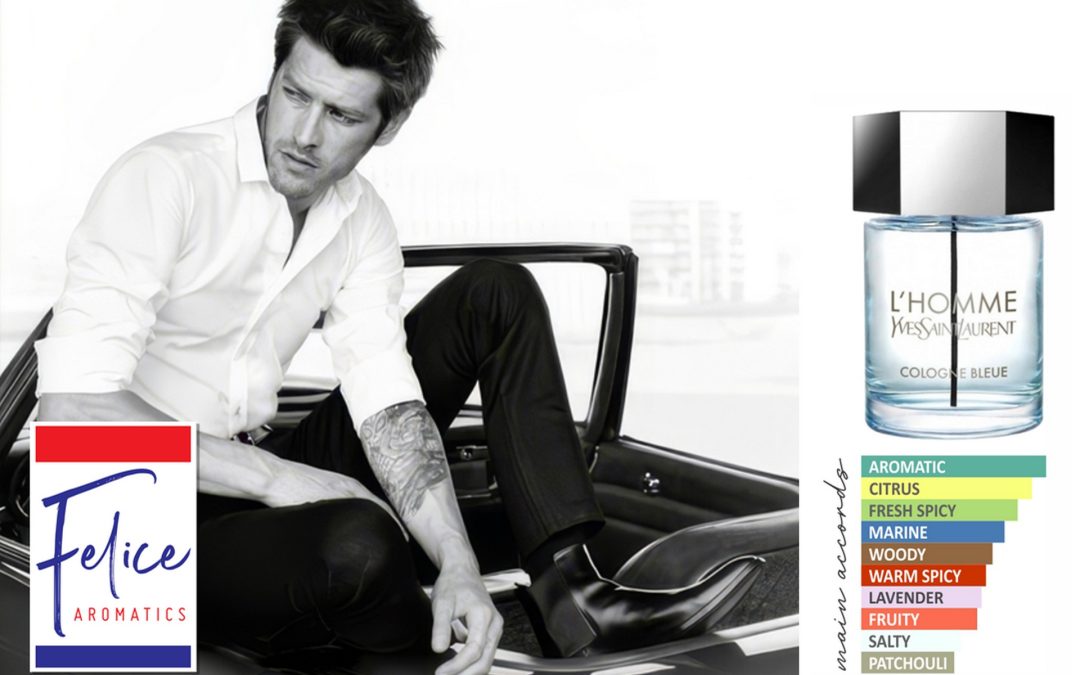 HOMME BLEU YSL