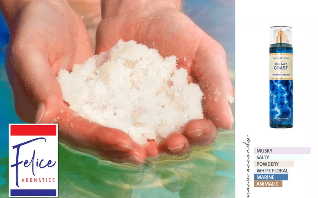 SEA SALT BBW