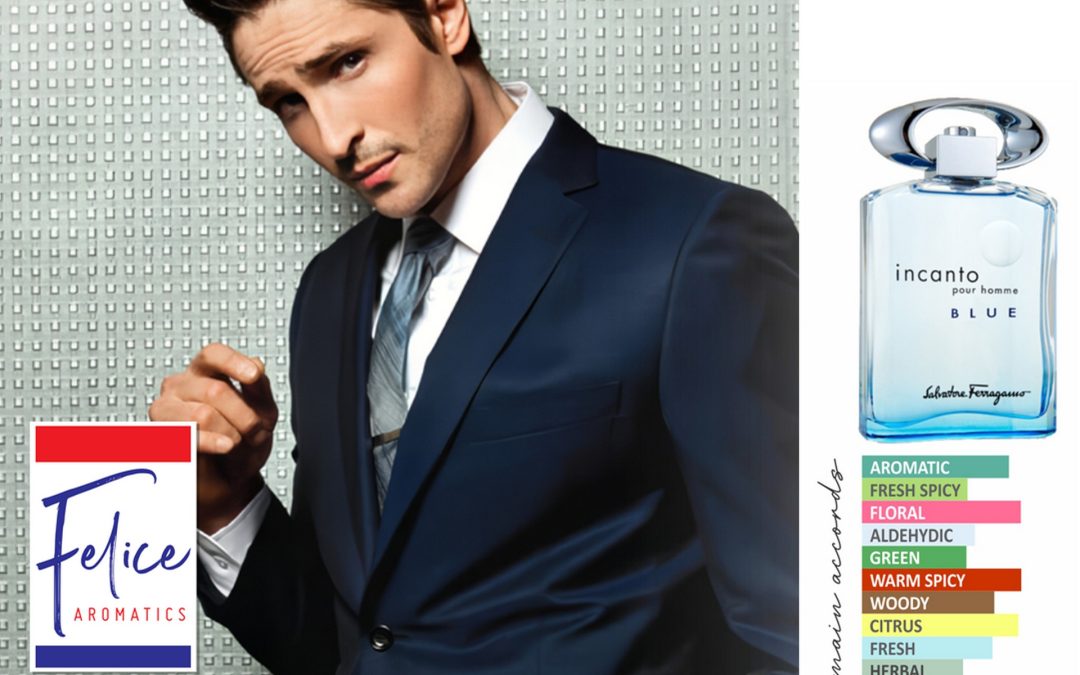 SF HOMME BLUE CANTO